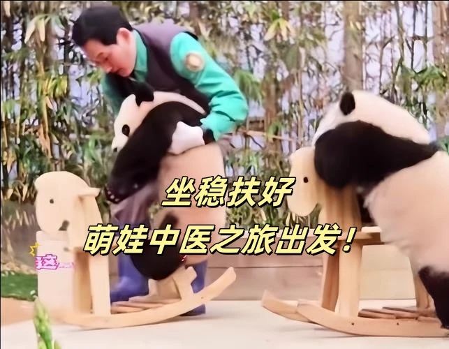 萌娃即将变身“小小中医”，推拿按摩、把脉贴敷，和平研学真的超有料！