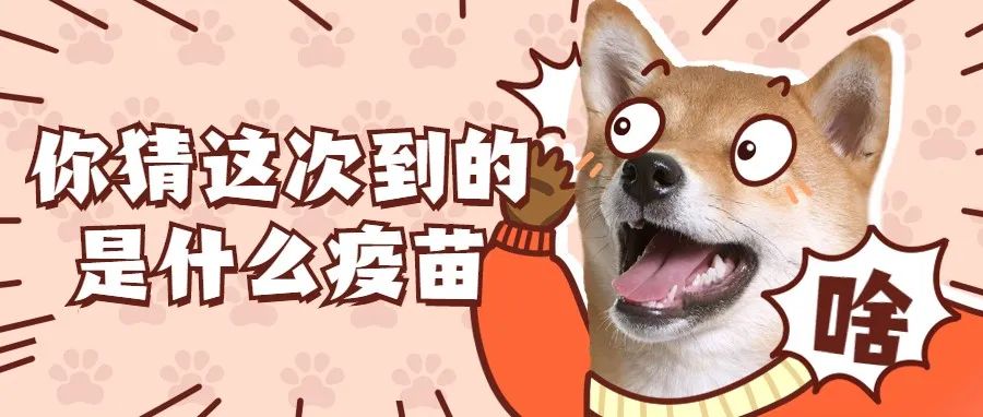 重磅！这支疫苗终于来啦！